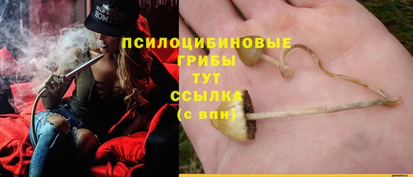 СК Балахна