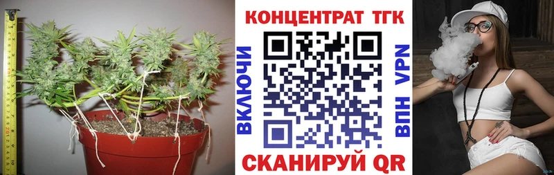 Дистиллят ТГК вейп с тгк  маркетплейс как зайти  Северобайкальск  купить наркотики цена 