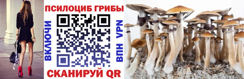 Псилоцибиновые грибы GOLDEN TEACHER  продажа наркотиков  Северобайкальск 