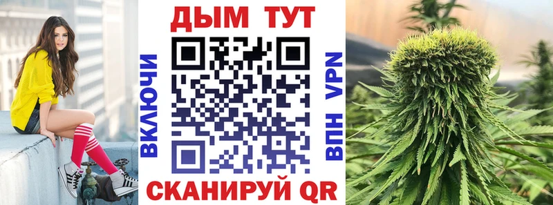 цены наркотик  KRAKEN рабочий сайт  МАРИХУАНА Amnesia  Северобайкальск 